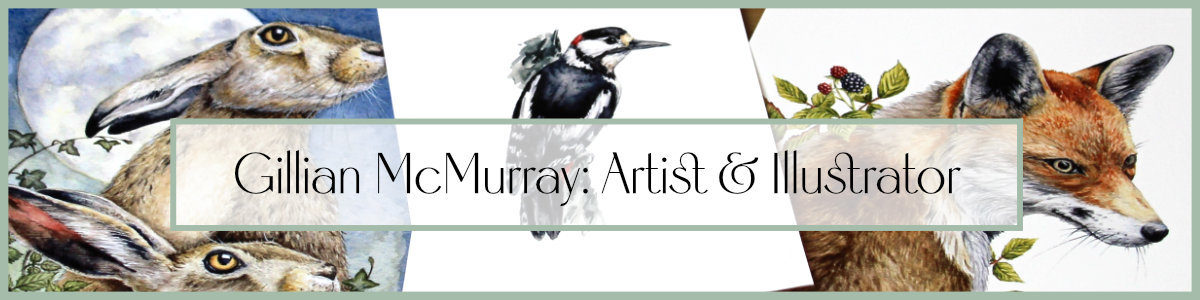 Gillian McMurray: artist and illustrator