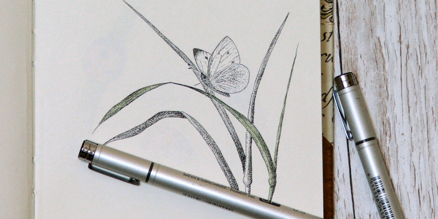 Nature journal of British wildlife with butterflies