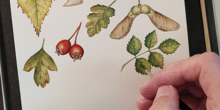 Work in progress image of leaves and berries being painted