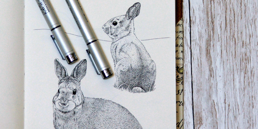 nature journal of British wildlife with rabbits