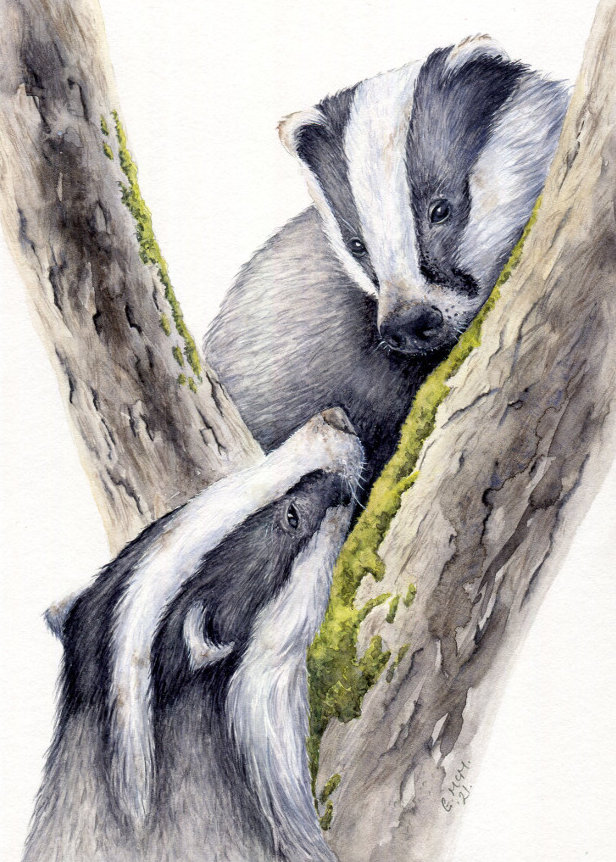 Two badgers looking at one another through two tree branches original painting