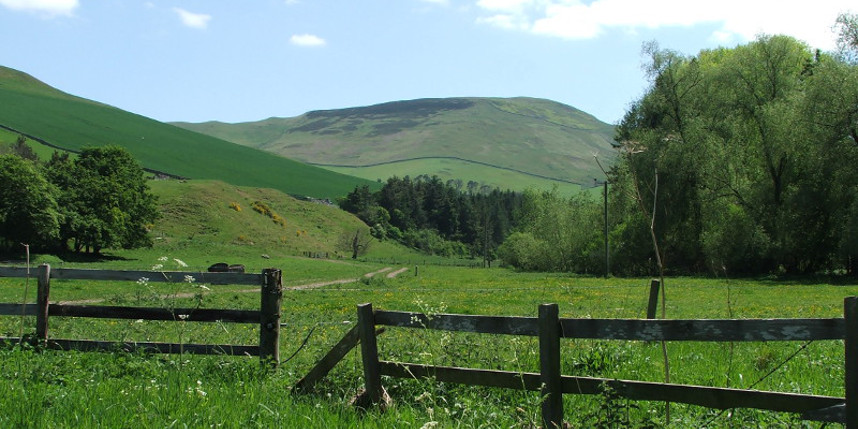 Scottish Border hills in summer