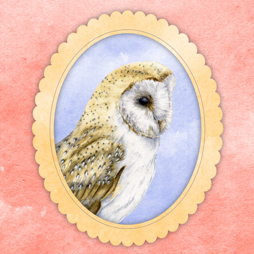 illustration of a barn owl and blue sky in a gold frame on a pink background