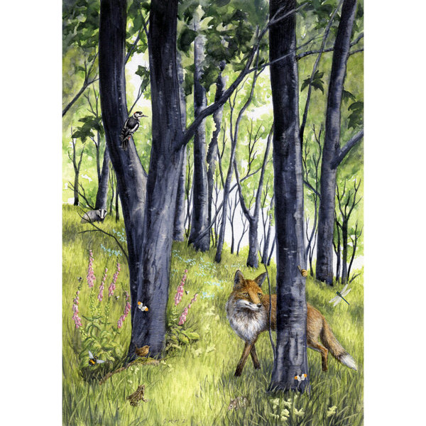 Forest scene - watercolour