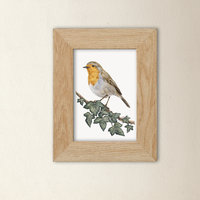Robin art print in a pine frame