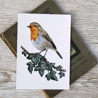 Robin art print sittng on a book