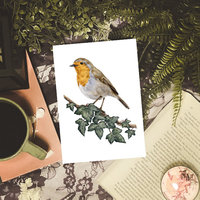 Robin sitting on an ivy branch, facing left art print A5 size