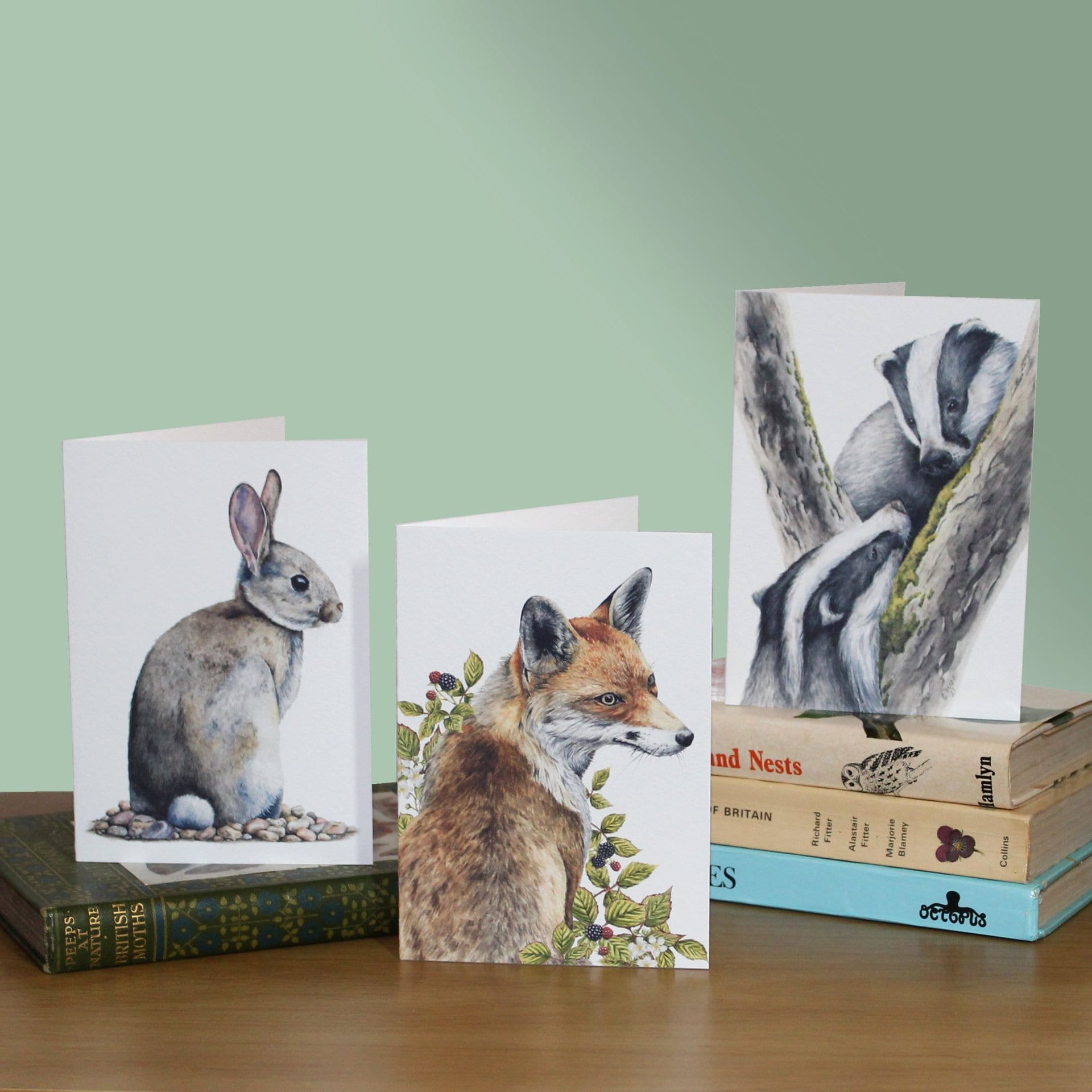 Wildlife greetings cards, pack of 3 sitting on a pile of books