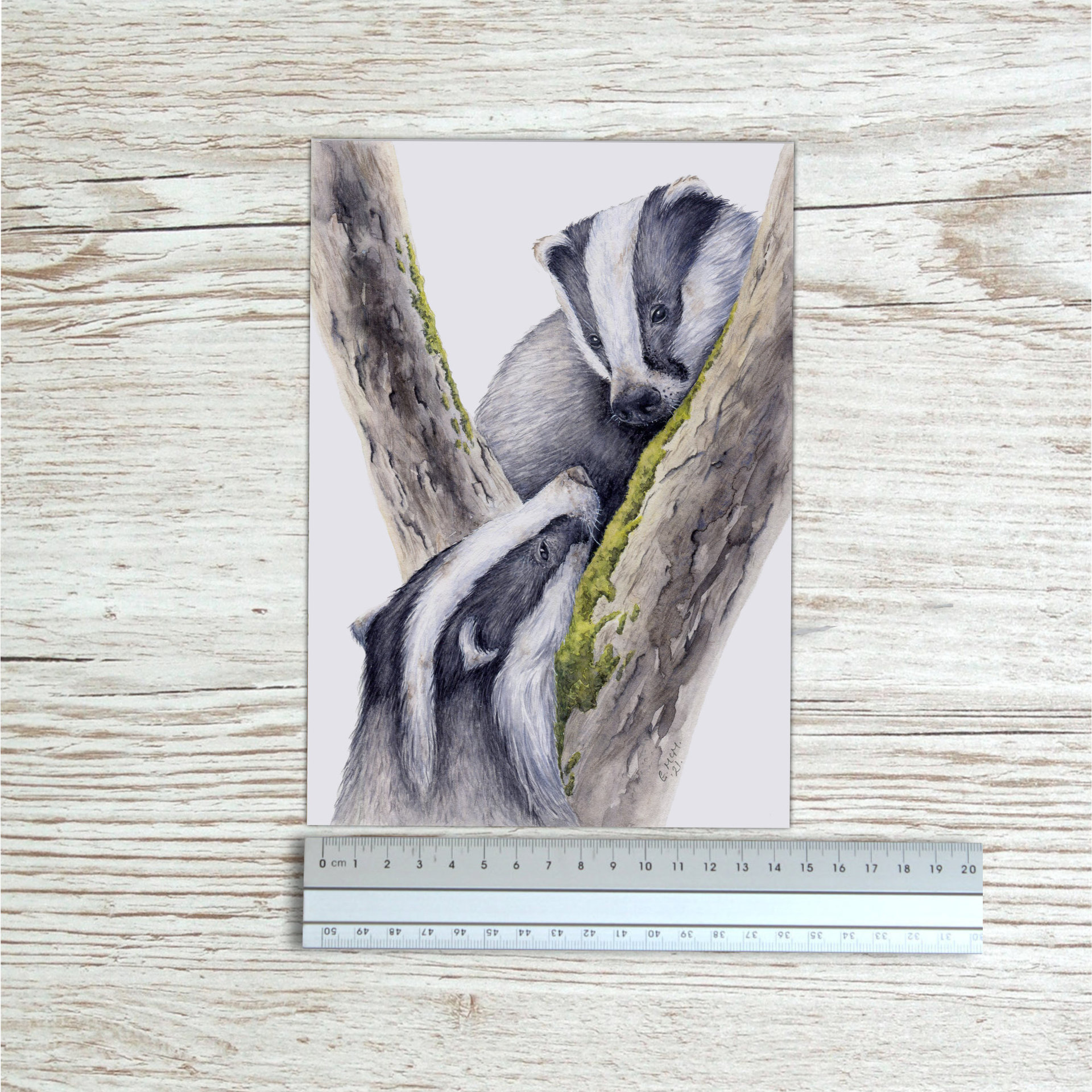 Badger art print beside a ruler to show size