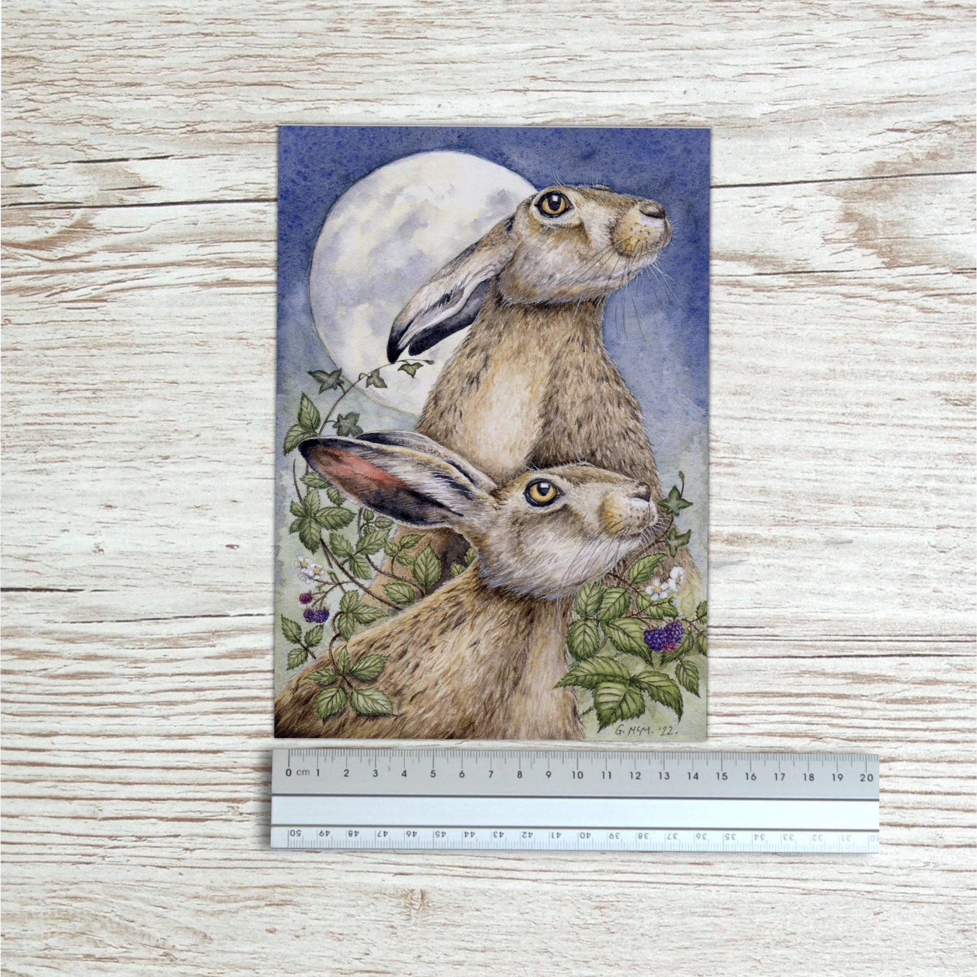 Hare art print beside ruler to show size