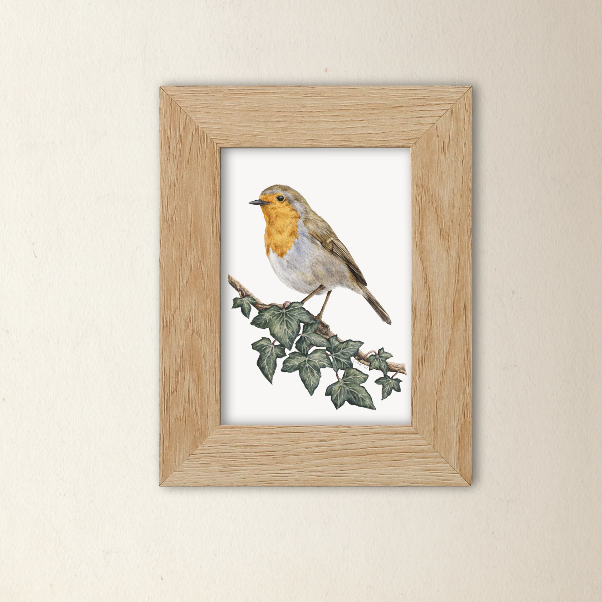 Robin art print in a pine frame