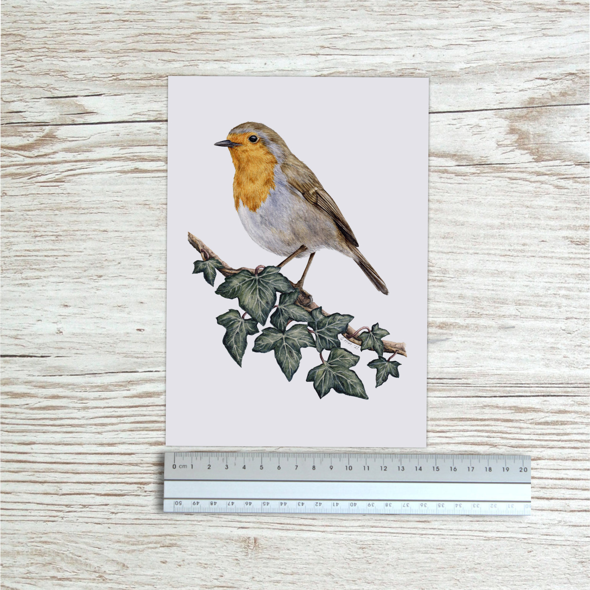 Robin art print beside a ruler to show size