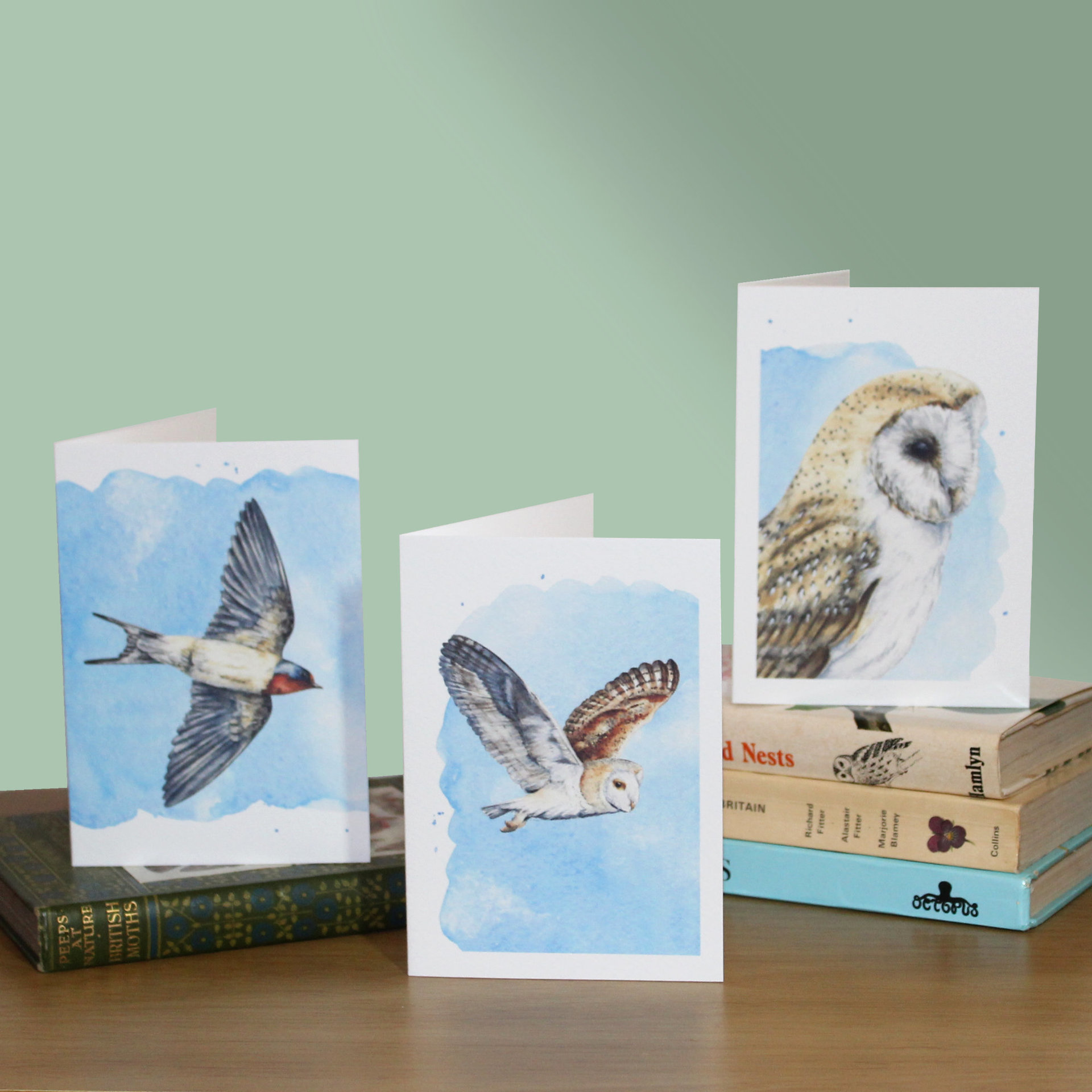 Bird themed wildlife note cards sitting on a pile of books