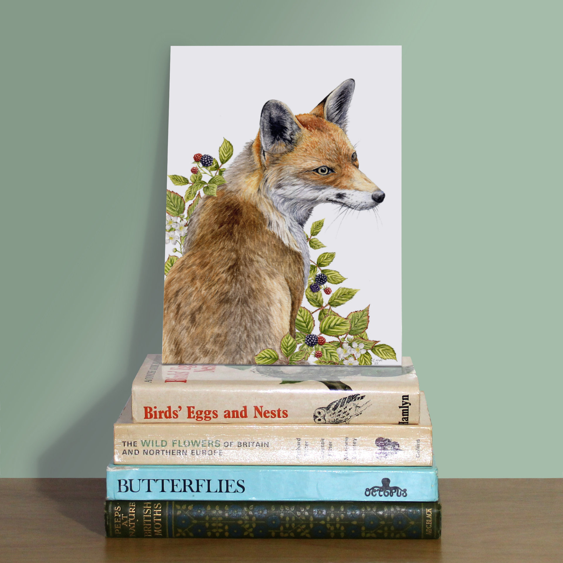 Wildlife and Nature Art Prints - Badger, Fox, Butterfly or Robin