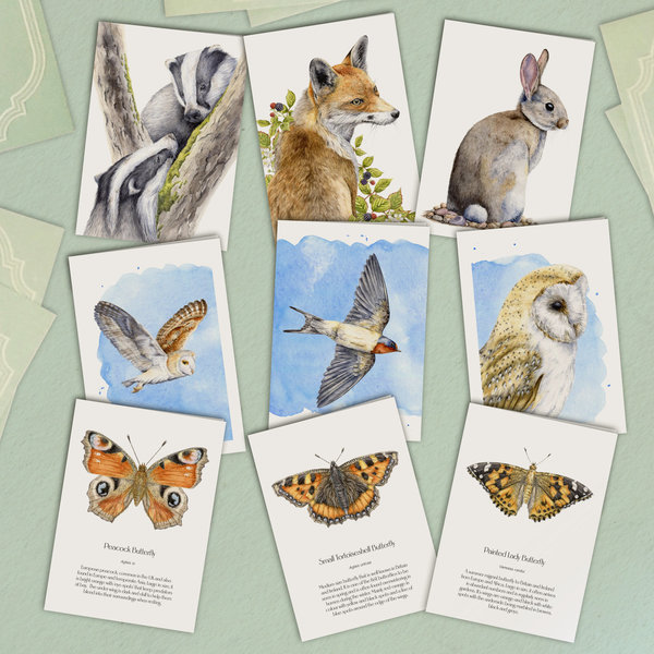 Collection of wildlife greetings card sets