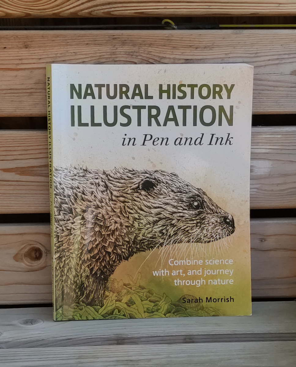 Natural History Illustration in Pen and Ink book lying on a seat