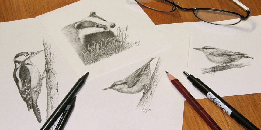 Pencil drawings of British wildlife