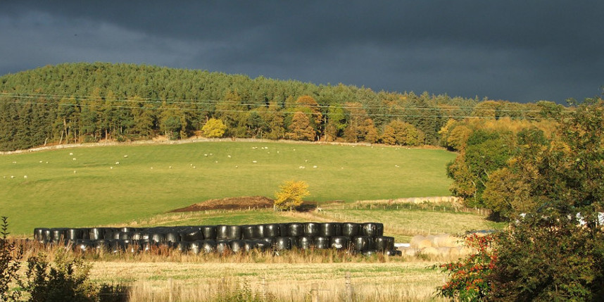 Scottish borders landscape