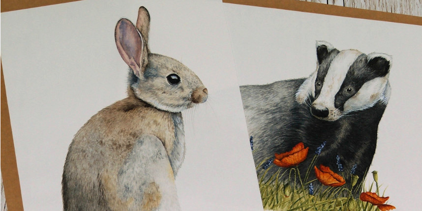 rabbit and badger watercolour painting