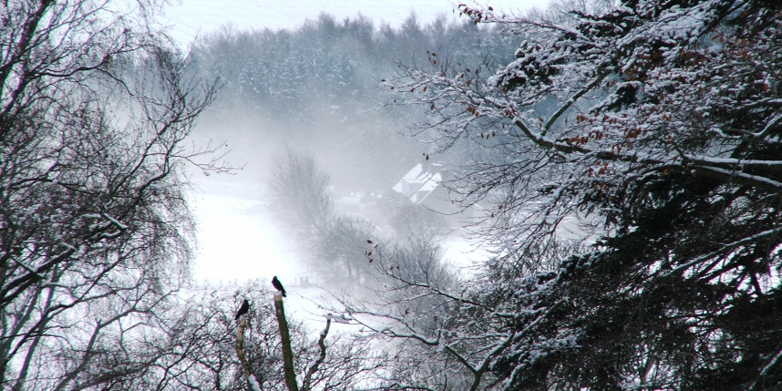 Frost in the Scottish Borders