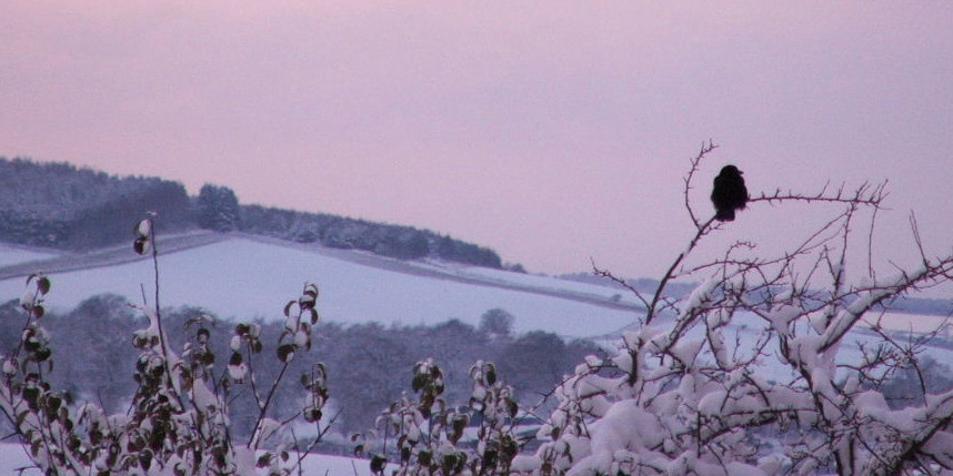 Snow and sunset in scottish borders