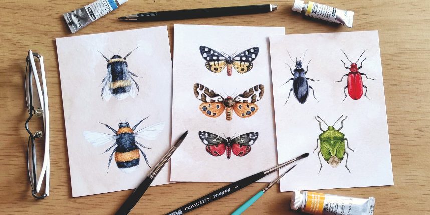 3 prints with bees, moths and bettles sitting on a desk top surrounded with watercolour paints and brushes